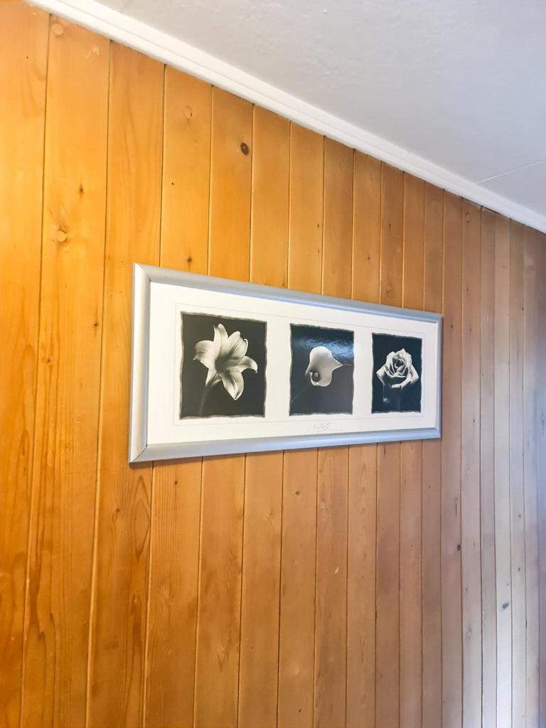 Ferienwohnung Abendberg - zentral nähe Bahnhof Wilderswil Exterior foto